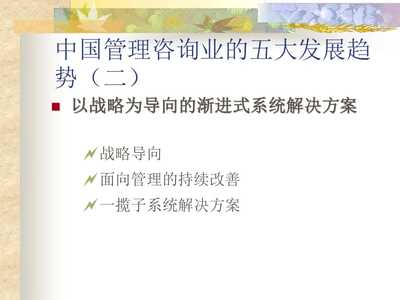 企业管理咨询报告 战略规划与运营优化的专业视角