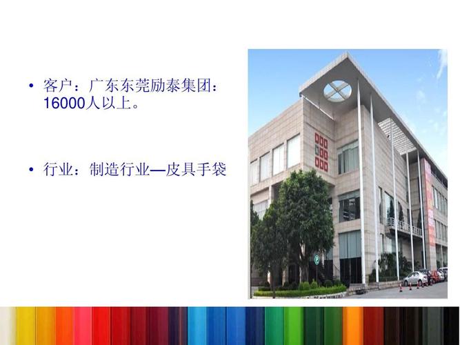 企业管理系统提升咨询项目案例分享